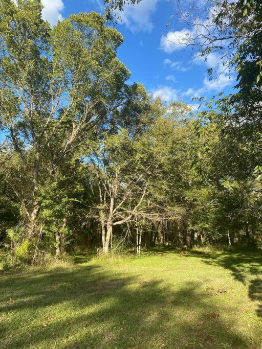 Pecan Grove Cabin Villa Huntsville Exterior photo